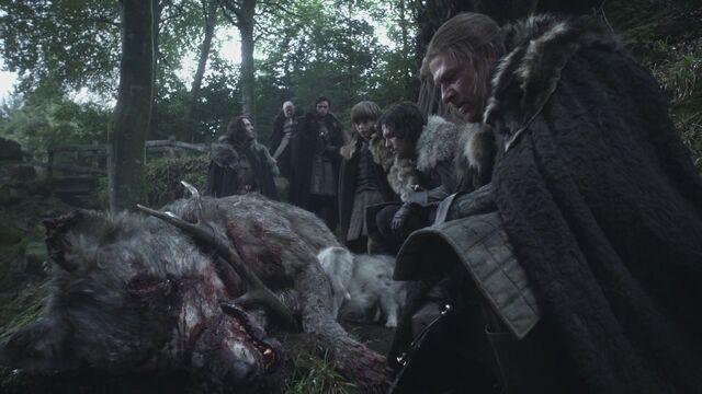 File:Mother of direwolves.jpg