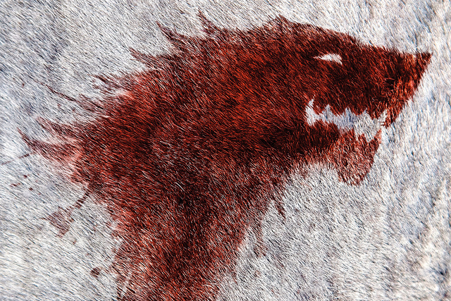 Файл:Wikia-Visualization-Add-4.png