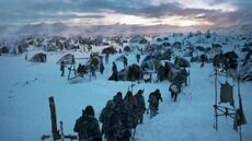 Free folk camp.jpg