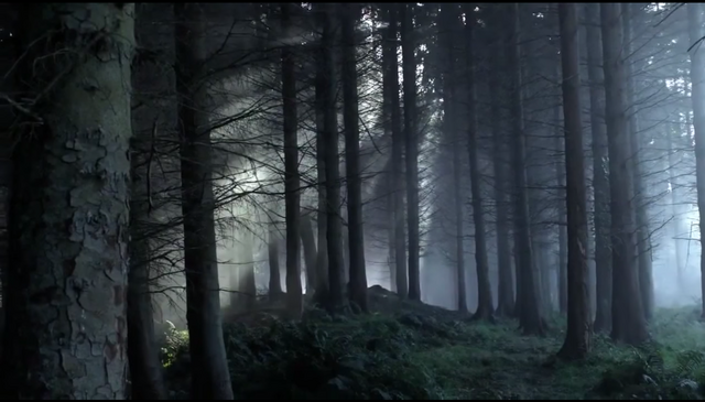 File:Wolfswoodpic1.png