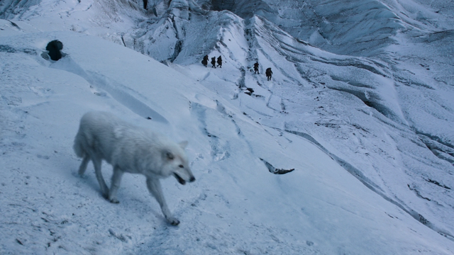 File:GhostDirewolfSeason2.png