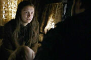 Gilly arriving sams home.jpg