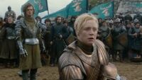 BrienneJoinsRenlysKingsguard.jpg