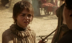 Arya.png
