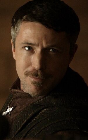 Datei:Profil-Baelish-1.jpg