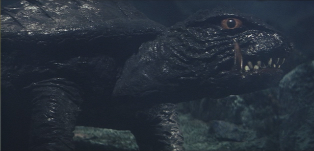 File:Gamera - 4 - vs Viras - 4 - Gamera reappears.png
