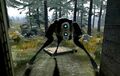 Thumbnail for version as of 06:48, June 1, 2011