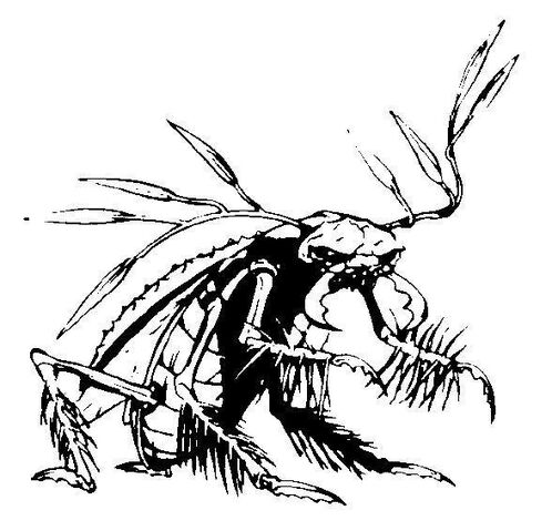 File:Parn.jpg