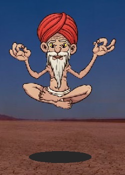 Swami