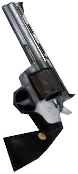 Weapon 357.jpg