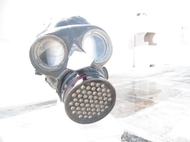 File:Mask2 006.jpg