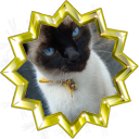 Archivo:Badge-edit-7.png