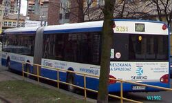 5256.jpg