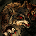 Rabid Werewolf