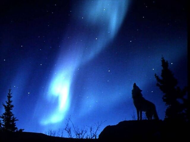 File:Evening Howl-(1024x768)-thief.jpg