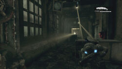 NHWF Armed Hallway