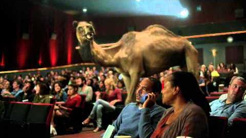 Video - GEICO - Hump Day Camel Movie Day | Geico Wiki | Fandom powered ...