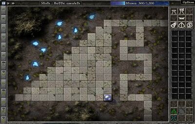Field B1 Map