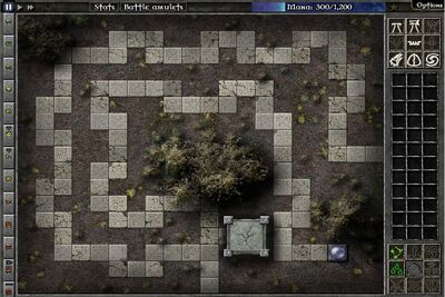 Field C11 Map