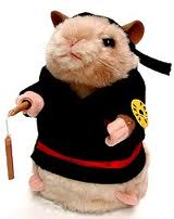 File:Kung fu.jpg
