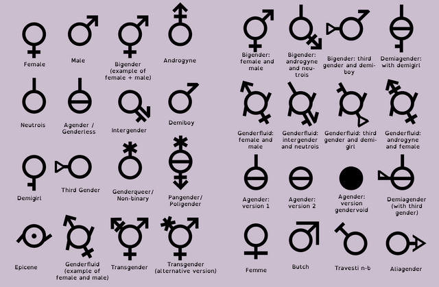 File:Genders.png