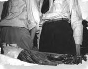 Tanzler 68