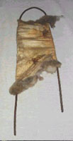 Skin2