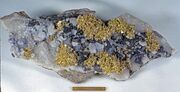 Gold sphalerite quartz sacaramb