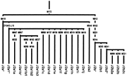 J2a1