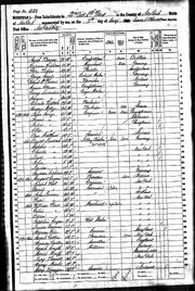 1860 census Lindauer Weber