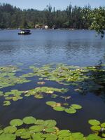 Kodaikanal lake