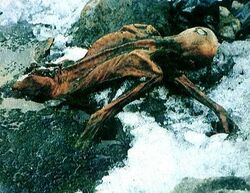 Another picture of the Iceman from other side, now exposed to just below the waist with the arms partially exposed