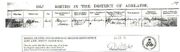 William turner birth cert