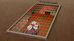 The Cage