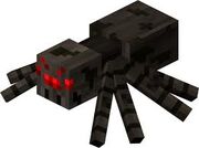 Unknown spiders?
