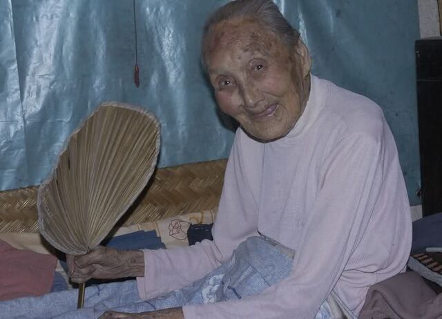 File:Fu Jiangshi.jpg