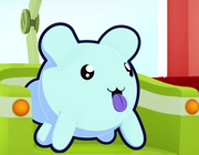 Potchi