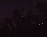 Chihiro-schwarze-kamis.png