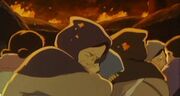 Gff2.jpg