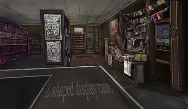 File:RaysOccultBooksTVGConceptArt.jpg