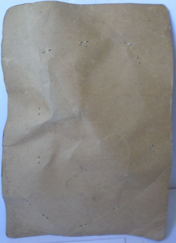 File:ArgentinaBootlegRGBRayWithSlingshotSonicJetEditSc02.png