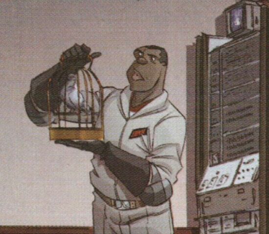 File:TalkingPigeon03.jpg