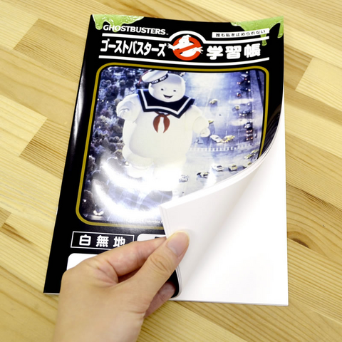 File:PromoImageLearningBookByRUNASc05.png