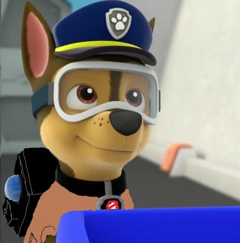 File:Chase goggles.jpg