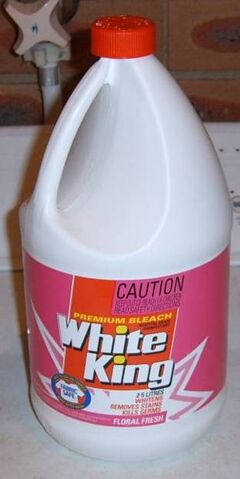 File:Bleach-bottle.jpg