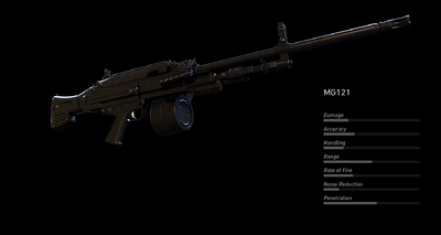 Mg121