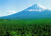 Aokigahara fuji