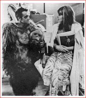 2orangutan