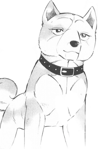 Datei:Reika.png