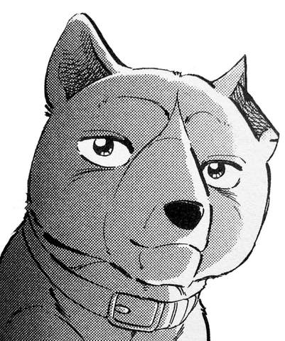 Datei:Yamabuki 3.png